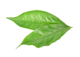 Obraz premium Top view of leaves green tea isolated on white background.