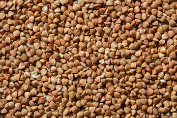 buckwheat groats background, texture, macro photo