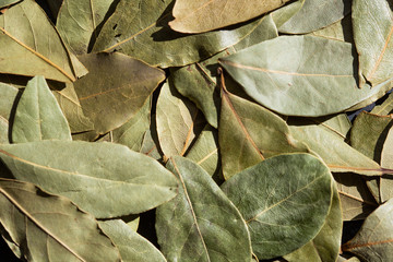 seasoning dry bay leaf, placer, background, texture