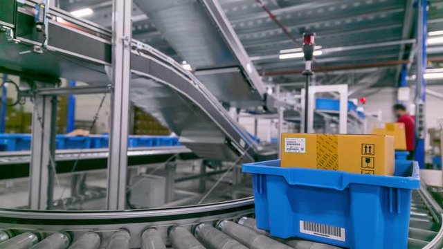 Modern Packaging Assembly Line Timelapse