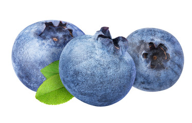 Obraz premium Blueberries on white background