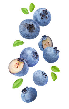 Falling blueberries on white background