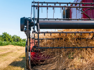 Wheat harvesting in the summer. Red harvester working in the field. Golden ripe wheat harvest...