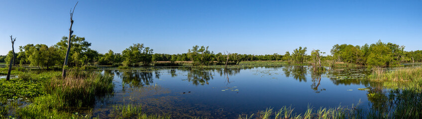 Fototapeta na wymiar Elm Lake at Brazos Bend State Park!