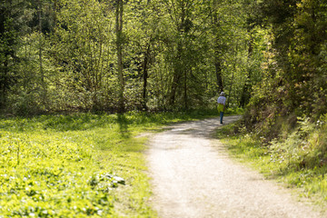 wanderung durch den Poitschacher Graben