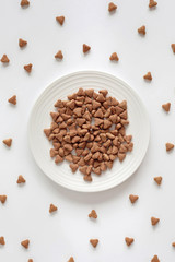 Domestic cat food. Minimalism top view flat lay plate with white dry food. Pet care.