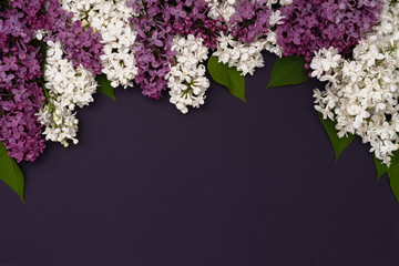 Decorative frame of lilac flowers on a dark purple background, flat lay. Space for text. Top view in a flat design style.