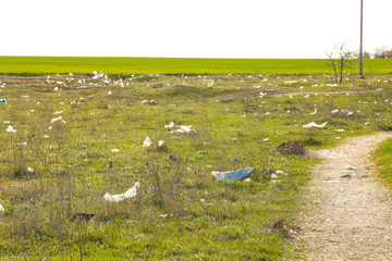 Garbage carried by the wind across the field