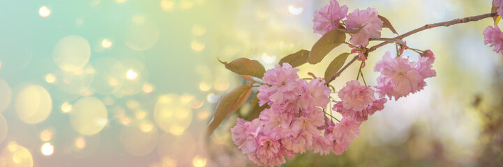 pastelowe tło z kwiatami drzew ogrodowych