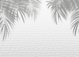 White gray grunge cement texture wall leaf plant shadow background.Summer tropical travel beach with minimal concept. Flat lay  palm nature .