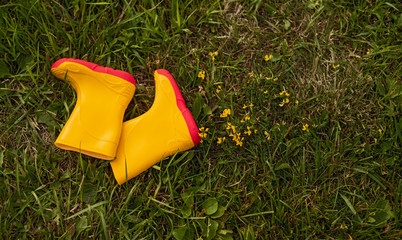 Bright boots on green grass