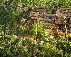 Isolated artistic warm sunrise close-up view of old ruin brick wall remains in garden as nature slowly taking back area
