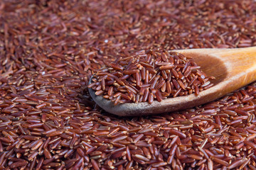 wooden spoon with brown rice lies on brown rice