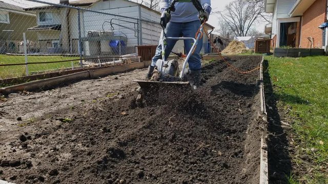 Home gardening - Garden being prepared using electric soil cultivator or tiller to soften and break apart clumps of soil at back yard garden.