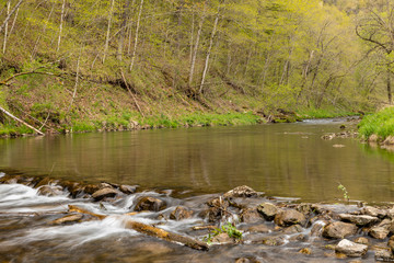 A Scenic River with Rock Dam In The Woods In Spring