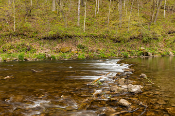 A Scenic River with A Rock Dam In The Woods In Spring