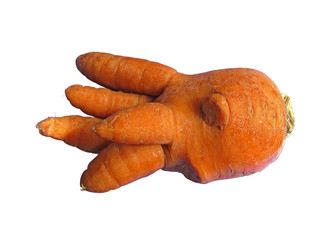 Funny Carrot Like a Human Hand, Isolated On White Background