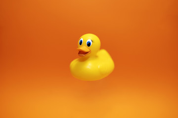 Yellow duck on the orange background