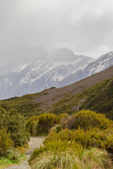 Southern Alps. Valley near Hooker Lake. South Island, New Zealand