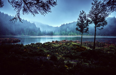San Miguel Island, Azores. Landscape.  Landscape with a lake and forest. © badahos