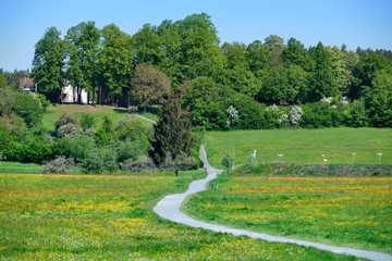 Landscape with a beautiful natural springtime meadow on the Heldenwiese in Lauf an der Pegnitz and the Kunigundenberg in the background. Seen in Germany / Bavaria in May.