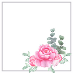 peony and eucalyptus leaves composition white background