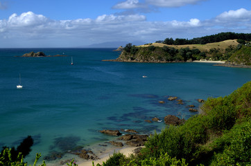 Fototapeta premium Crystal clear sea at Waiheke Island Beach, New Zealand