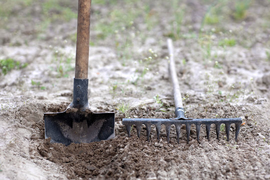 shovel and rake on plowed soil. Copy space. Agriculture, gardening, soil cultivation concept.