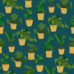 Flowers in pots pattern8