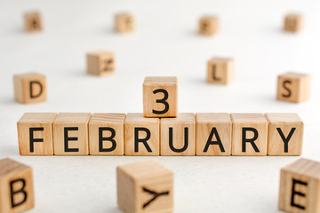February 3- from wooden blocks with letters, important date concept, white background random letters around