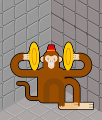 Crazy monkey in nuthouse. Mad chimpanzees in lunatic asylum