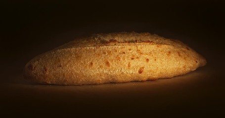 Rising and baking of white bread in bakery oven, timelapse video. Crusty of bread.