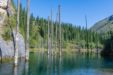 Kaindy lake - mountain lake in Kazakhstan