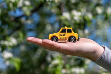 The hand of man holding a yellow toy taxi car on the background of blooming sakura. Ecology car....