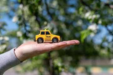 The hand of man holding a yellow toy taxi car on the background of blooming sakura. Ecology car....