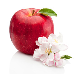 Red apple with flowers isolated on white background
