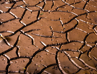 dry cracked soil