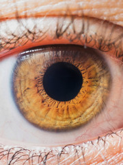 Human eye close up