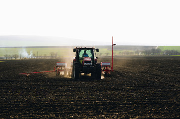 Fototapeta premium Farmer with tractor seeding sowing crops at agricultural fields in spring at sunset 