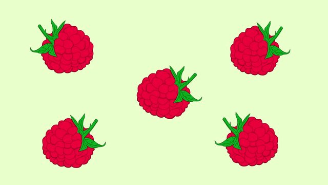 Fresh pink red dancing raspberry background. Funny clip. Hand drawn animation. Light green background.