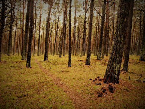 Tribadie Bilder Durchsuchen 11,508 Archivfotos, und