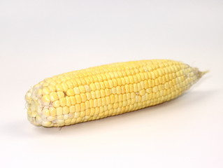 Close Up of raw corn  isolated on white background.