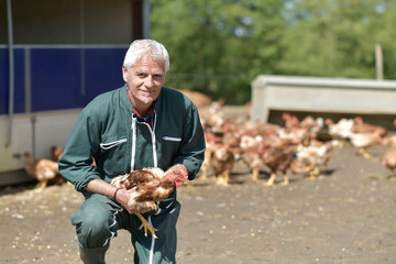 Farmer holding hen in farm yard © goodluz