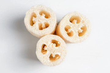 Luffa Loofah. Vegetable sponge extracted from the Luffa plant on light background. Eco friendly loofahs sponges, zero waste. Sustainable bathroom and lifestyle, plastic-free and eco-friendly concept