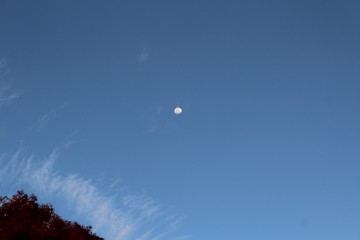 moon in the day sky
