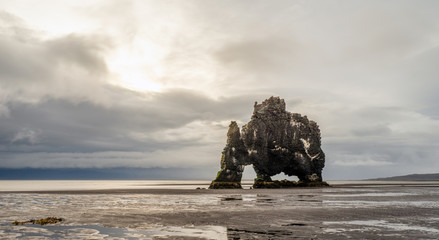 Hvitserkur basalt volcanic rock formation looking like a drinking dragon in Vatnsnes peninsula in northern Iceland. Holiday and landscape concept.