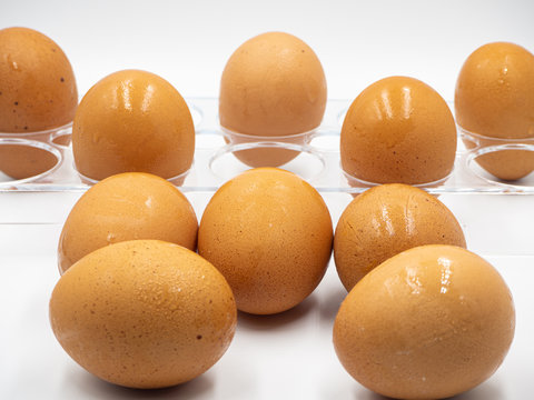 The eggs are group as social distancing and non-social distancing group