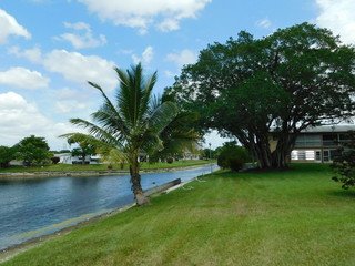 Fototapeta premium Landscape,green place, trees,lake,river
