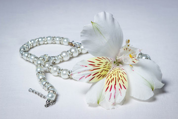White flower and white pearl jewelry lying on a white background