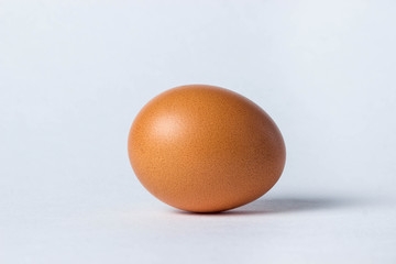 one brown egg lies on a white background